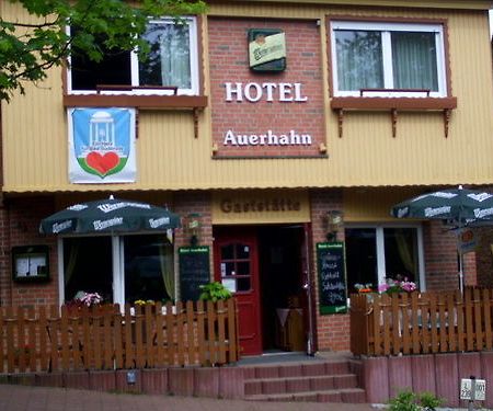 Hotel Auerhahn Bad Suderode Exterior photo