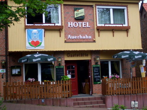 Hotel Auerhahn Bad Suderode Exterior photo